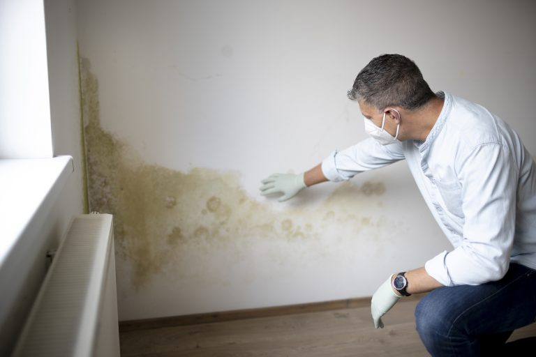 rising damp chelsea